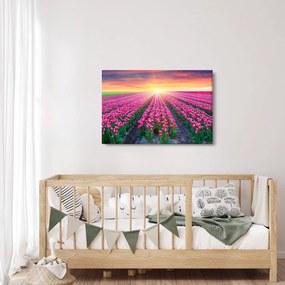 Tulipán mező és a nap képe (90x60 cm)