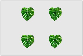 Poszterek 155x105 Monstera Lyukas levelek
