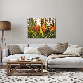 Kép - tulipánok (70x50 cm)