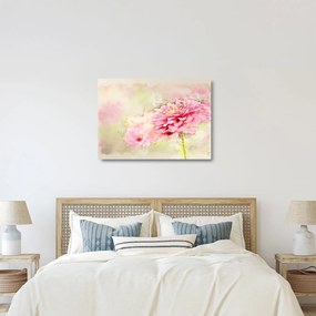 Kép - rózsaszín virág, akvarell (üvegen) (70x50 cm)