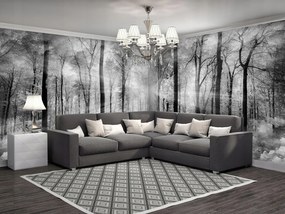 Sarok fotótapéta Erdő köd 3D hatás 624x219