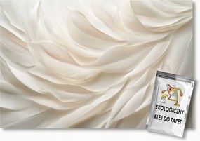 Fotótapéta Flizelina Természet Krém Tollak Pehely Boho Makro 100x75 ragasztó