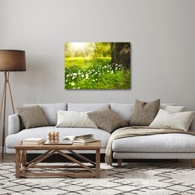 Tisztás és a virágok képe (70x50 cm)