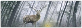 Poszterek 200x66 Szarvas az erdőben
