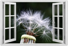 Poszterek 60x40 Pitypang Virág Virágok