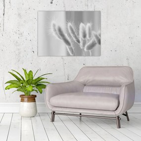 Kép - Nyuszi farok fű (70x50 cm)