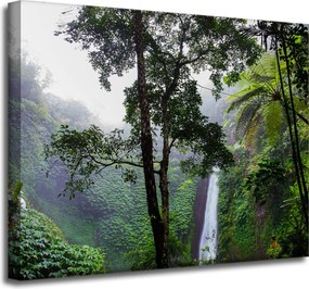 Vászonkép Természet Trópusi erdő 50x40 cm