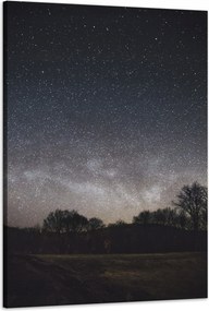 Vászonkép Kozmosz Csillagos égbolt 60x90