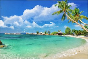 Divatos Flizelin Tapéta Ragasztóval Fali 3D Trópusi paradicsom 104x70 Ragasztó