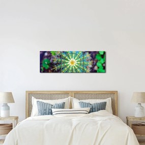 Kaktusz kép (órával) (90x30 cm)
