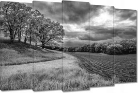 Vászonkép 150x95 Fekete-fehér mező