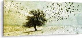 Kép - Festett madárállomány (120x50 cm)