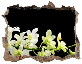 Lyuk 3d fali matrica Orchidea nd-k-4005190