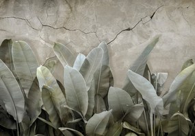 3D fotótapéta hatás Levelek virágok foltok 368 x 254