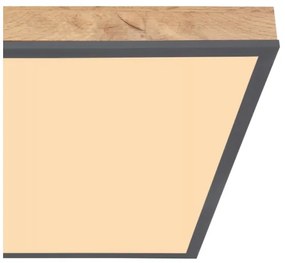 Globo 416080WD2 - LED Mennyezeti lámpa DORO LED/24W/230V