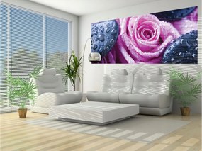 Flizelin fotótapéta Rózsa kövek harmat a természet harmóniája 250x104 +ragasztó