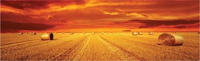 Flizelin fotótapéta Arany mező kévék széna nyár otthon 624x219 +ragasztó