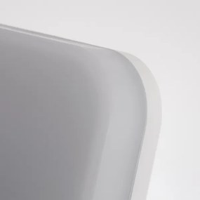 LED Fürdőszobai mennyezeti lámpa LED/24W/230V IP54