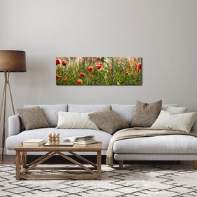 Pipacsok képe (órával) (90x30 cm)