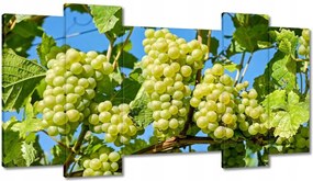 Vászonkép 120x65 Zöld szőlő