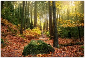 Poszterek 185x125 Tájkép