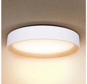 Brilagi Brilagi -LED Dimmelhető lámpa LARIOS LED/48W/230V 3000-6500K ø 39 cm fehér + távirányító BG1340
