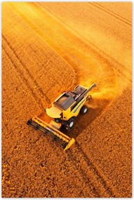 Poszterek 60x90 KilĂĄtĂĄs felĂŒlrĆl a kombĂĄjnra