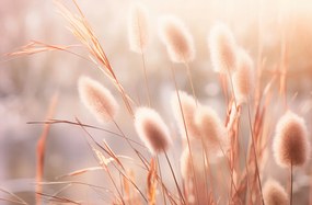 Poszter 86,4x56,8cm Napvirágok