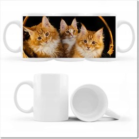 fényképes bögre Csodaszép vörös cicák