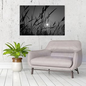 Kép - rét naplementével (90x60 cm)