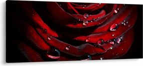 Kép - Rózsa részlete (120x50 cm)