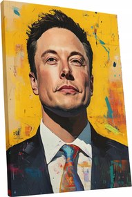 Vászonkép Portré Elon Musk nappali Elon Musk ajándék 30x40