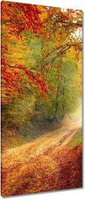 Vászonkép 55x115 Út az erdőben ősz