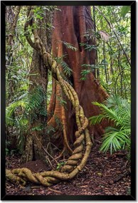 Poszterek keretben 40x60 Tájkép Látvány