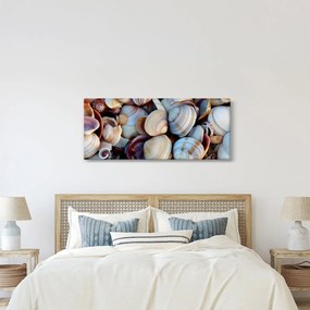Kagyló képe (120x50 cm)
