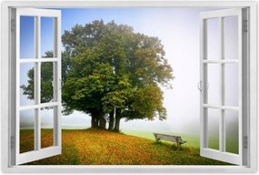 Poszterek 90x60 Tájkép paddal Fa