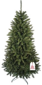 Kaukázusi lucfenyő 2D 220 cm