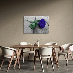 Üveg kép - Kék rózsa zöld szárral (70x50 cm)