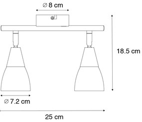Klasszikus mennyezeti spotlámpa arany, matt üveggel, 2-lámpás - Madi