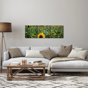 Kép - Napraforgómező II. (órával) (90x30 cm)