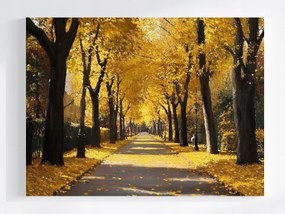 Vászonkép Canvas Tájkép Ősz Park Sikátor Ösvény Fa 100x75