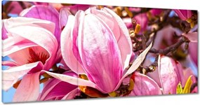 Vászonkép 120x60 Virágok