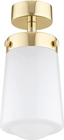 Argon PASADENA 8005 Süllyesztett mennyezeti lámpa 1x15W/E27 IP44