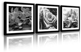 Vászonkép 3 darabos, Orchideák és rózsa fekete-fehér, 3 db 25x25 cm méret