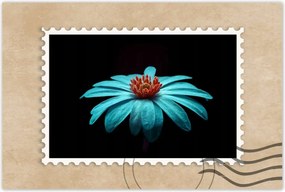 Poszter 60x40 Türkiz virág