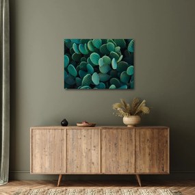 Kép - Opuntia (70x50 cm)