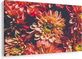 Kép - Krizantém (90x60 cm)