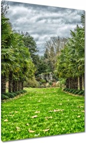 Festmények 70x100 Tájkép