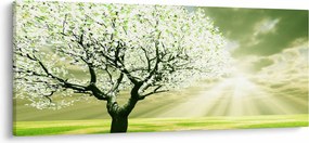 Fa képe a réten (120x50 cm)