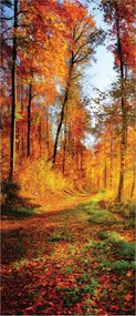 Fotótapéta Őszi sikátor Levelek erdő fák Tájkép 91x211 fű +ragasztó